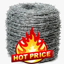 Barb Wire fencing hot price