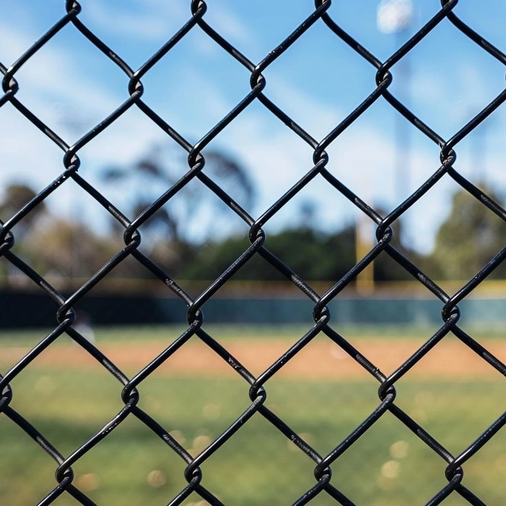 Black chain wire fencing near me