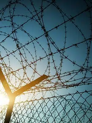 Barbed wire and razor wire coils mounted on Y-posts above a mesh fence, silhouetted against a blue sky with sunlight.