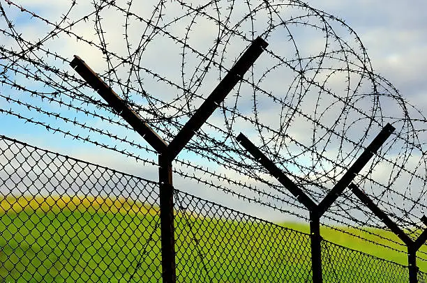 Security barbed wire fencing