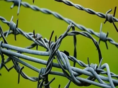 Barbed wire fencing