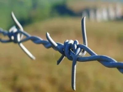 Barbed wire near me